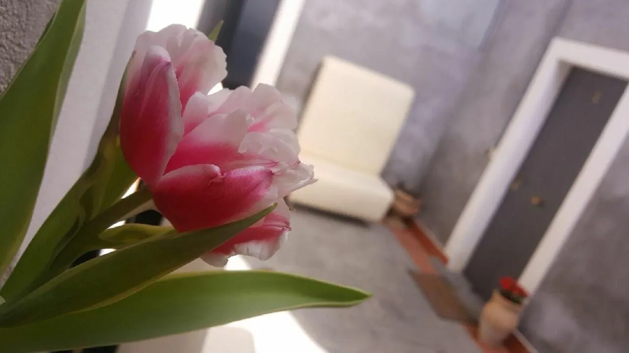 Bed & Breakfast I Cappuccini Rooms Catania
